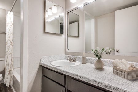The Jerry bathroom